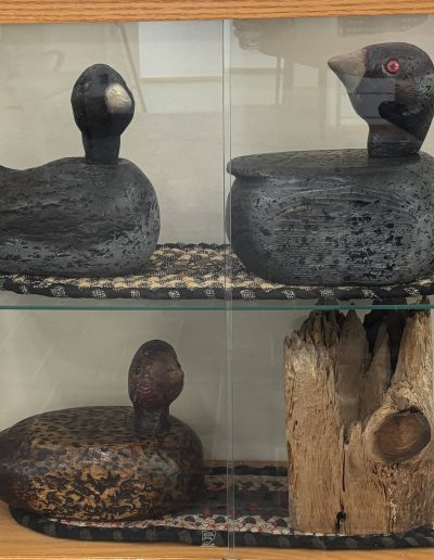 Carved duck decoys displayed in a glass case with driftwood.
