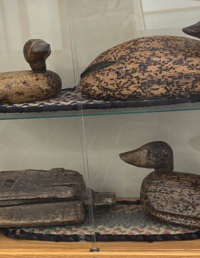 Carved duck decoys displayed in a glass case with driftwood.