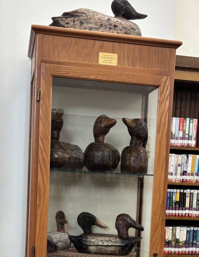 A wooden display cabinet with duck decoys inside and on top, next to a bookshelf.